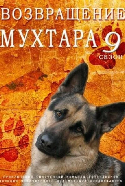 Возвращение Мухтара 9 (2013)